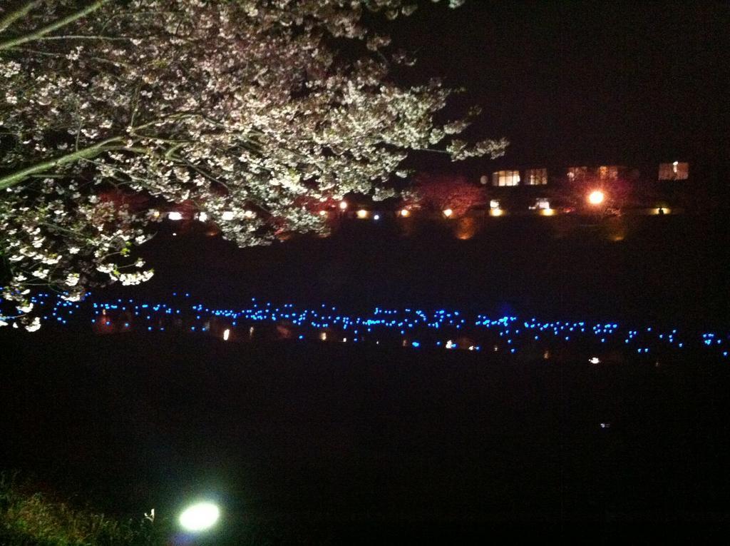 Hareya Hotel Shimoda  Buitenkant foto