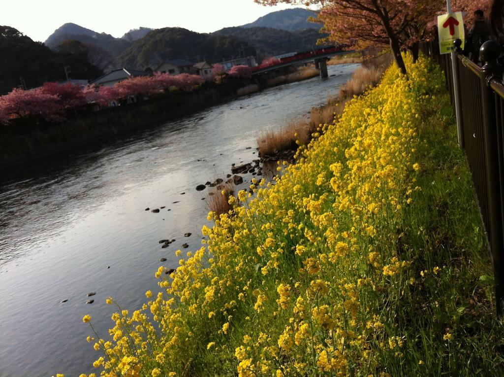 Hareya Hotel Shimoda  Buitenkant foto