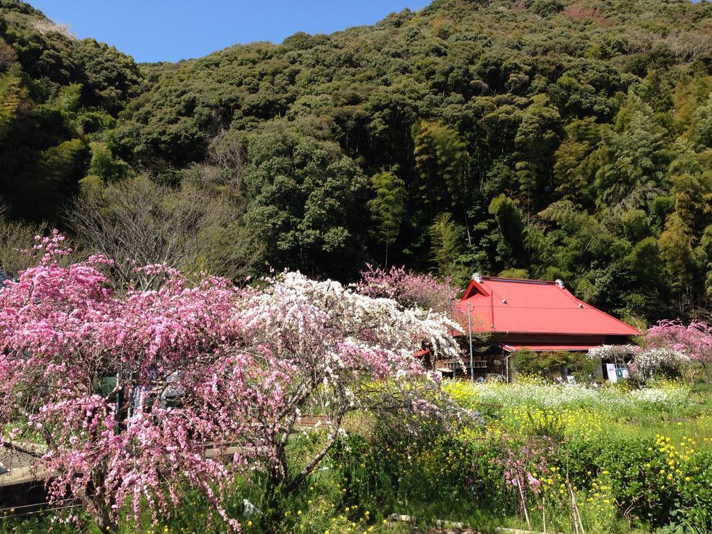 Hareya Hotel Shimoda  Buitenkant foto