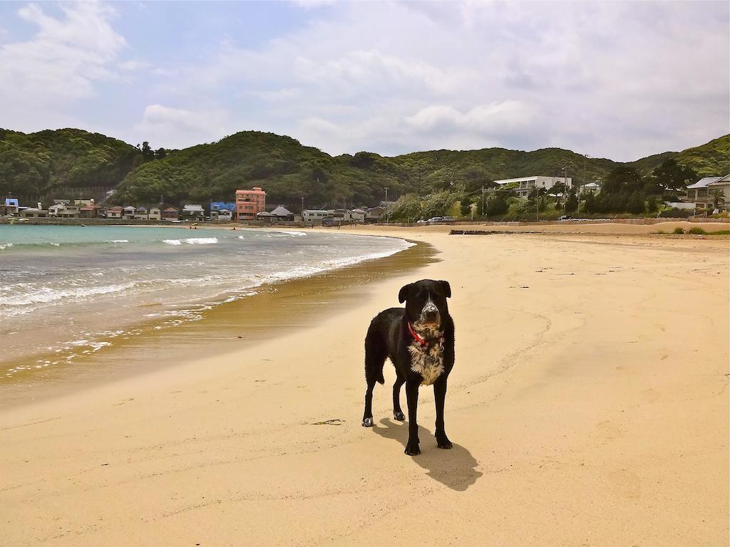 Hareya Hotel Shimoda  Buitenkant foto